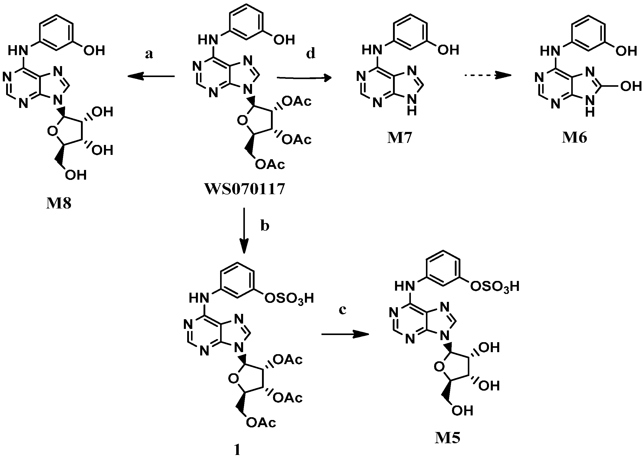 Molecules 21 00008 g002