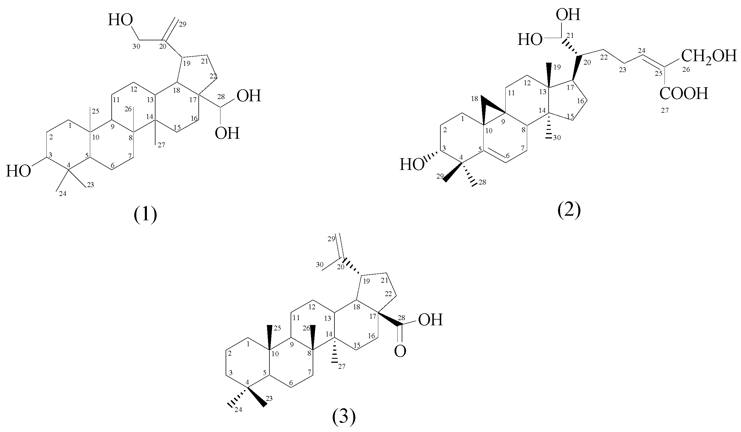 Molecules 21 00009 g001