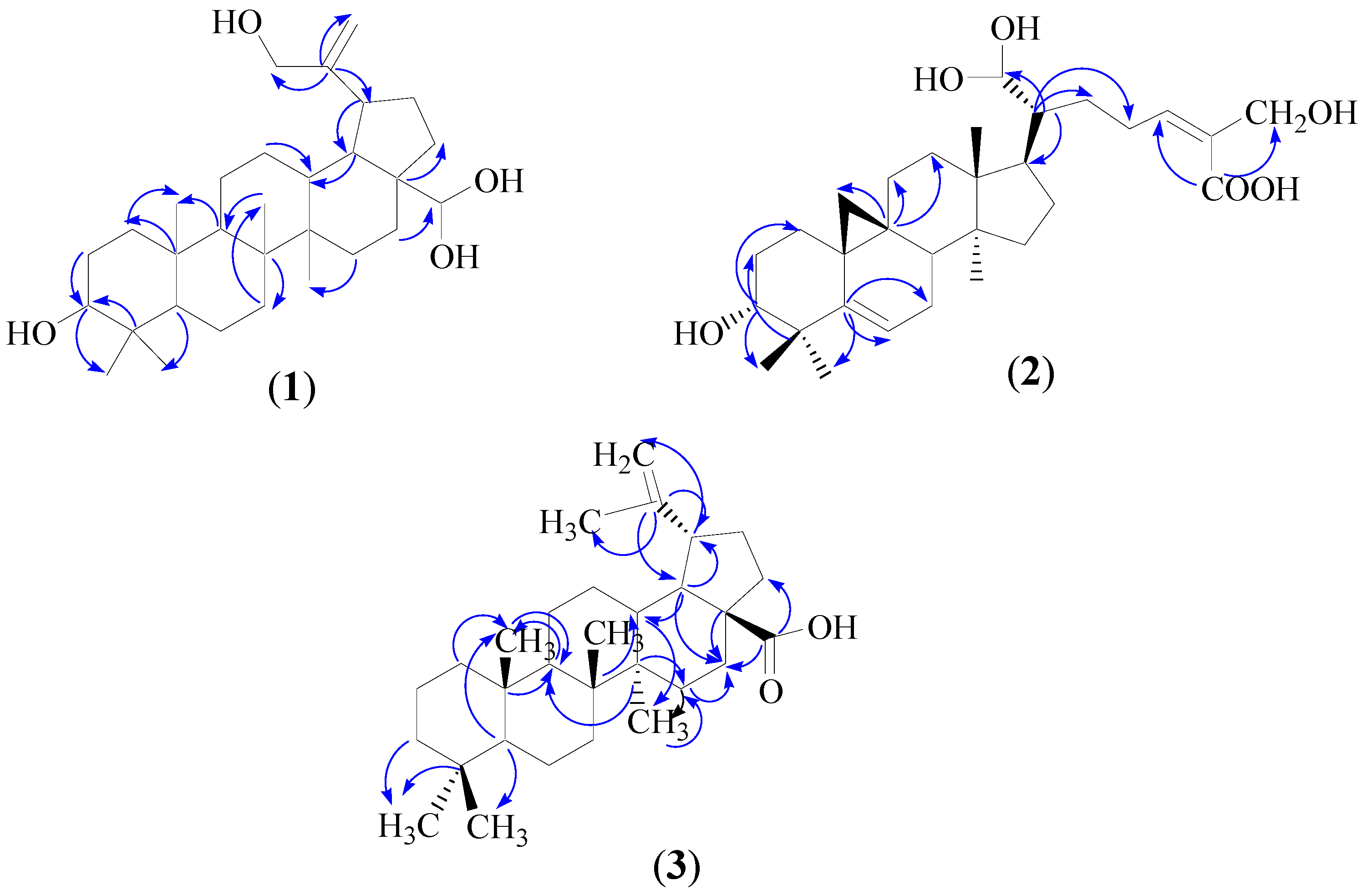 Molecules 21 00009 g002