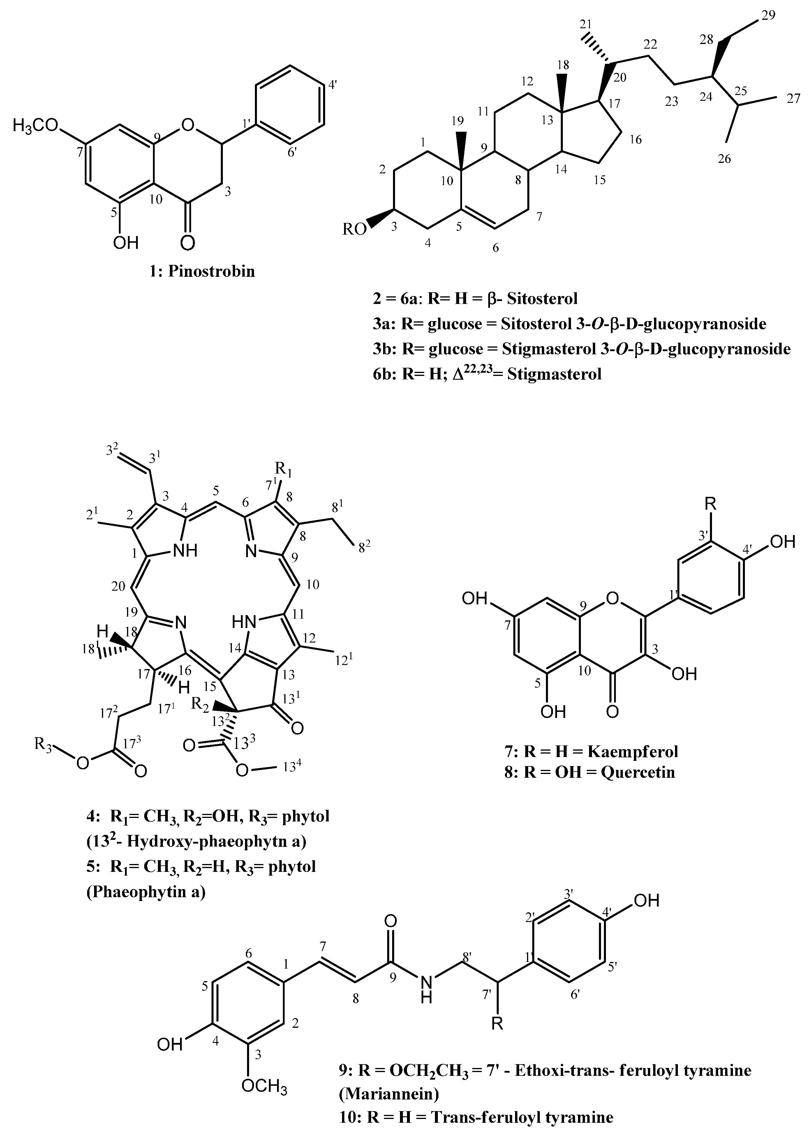 Molecules 21 00011 g001