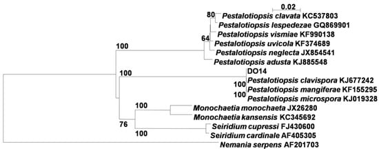 Molecules 21 00014 g001 550