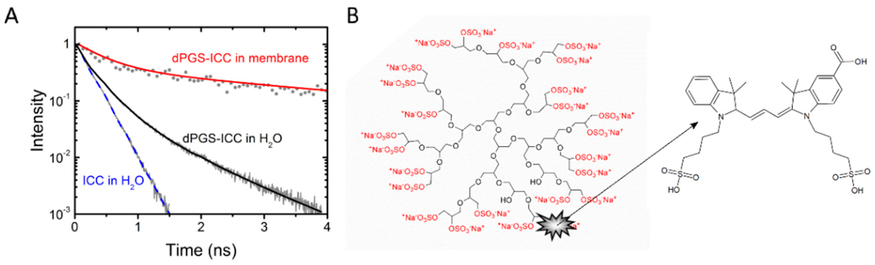 Molecules 21 00022 g001