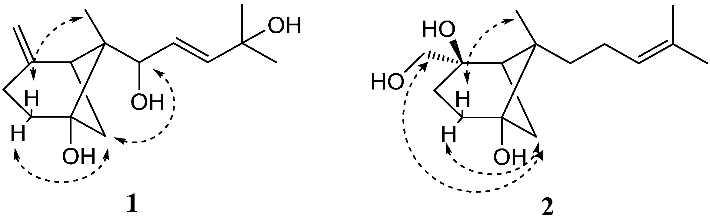 Molecules 21 00031 g003