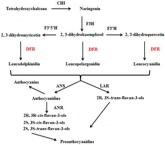 Molecules 21 00032 g001 550