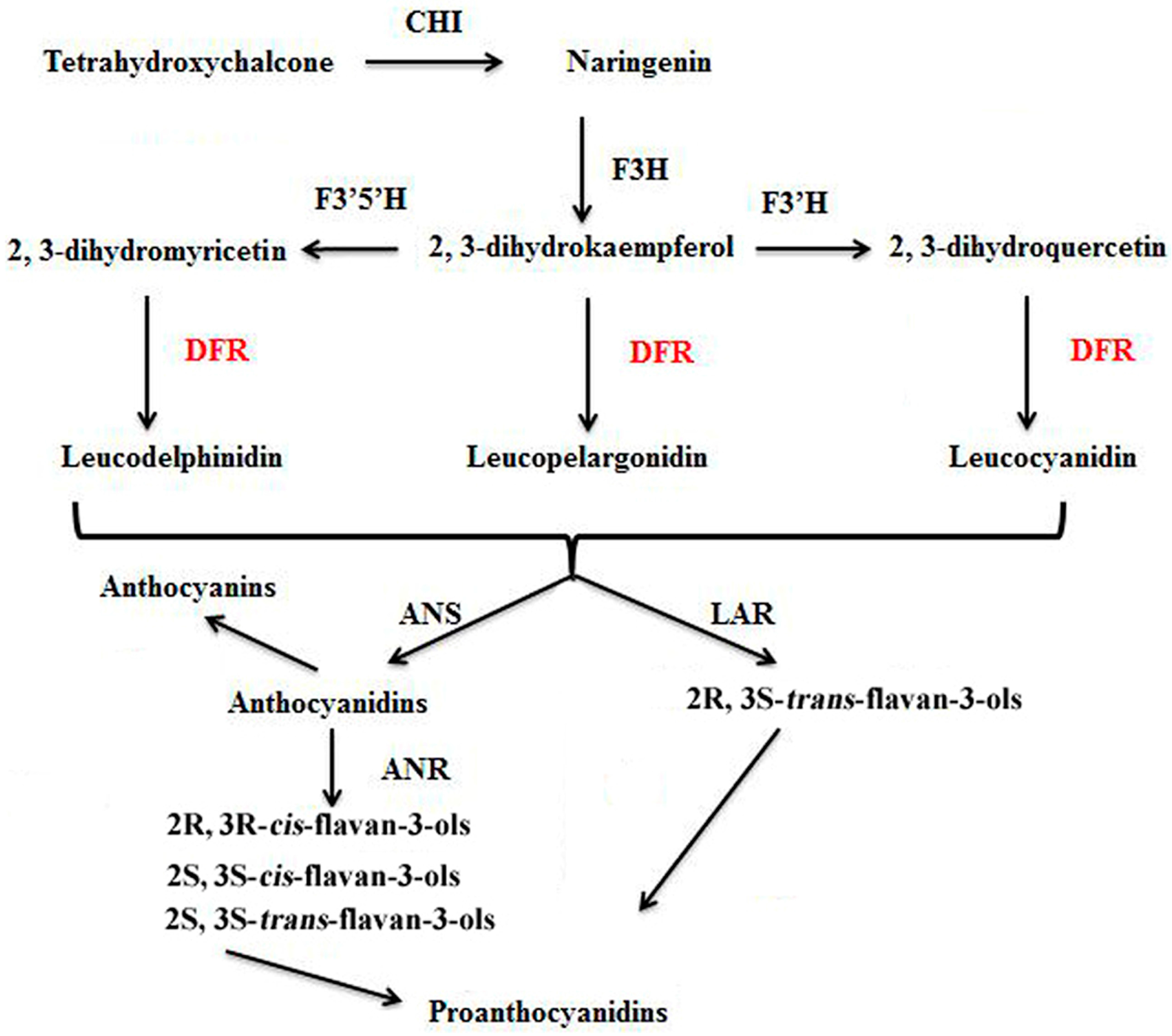 Molecules 21 00032 g001