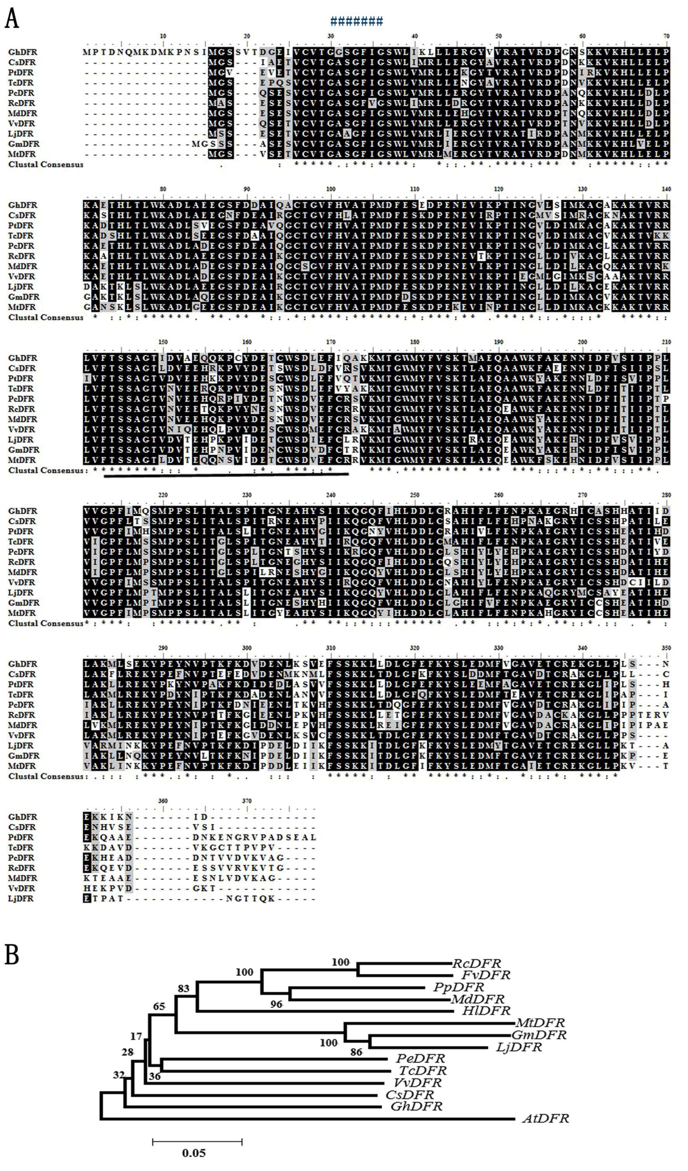 Molecules 21 00032 g002