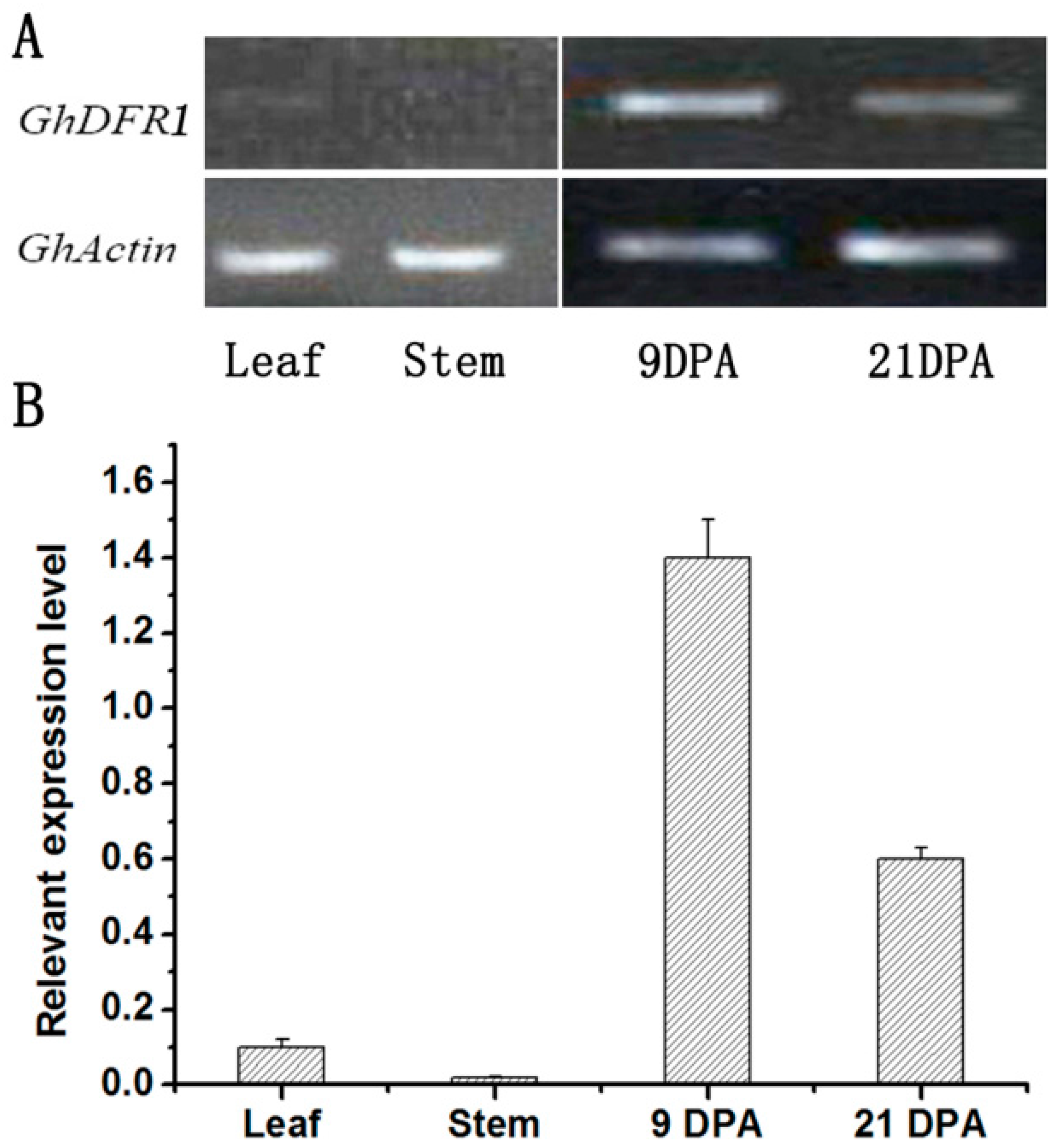 Molecules 21 00032 g003