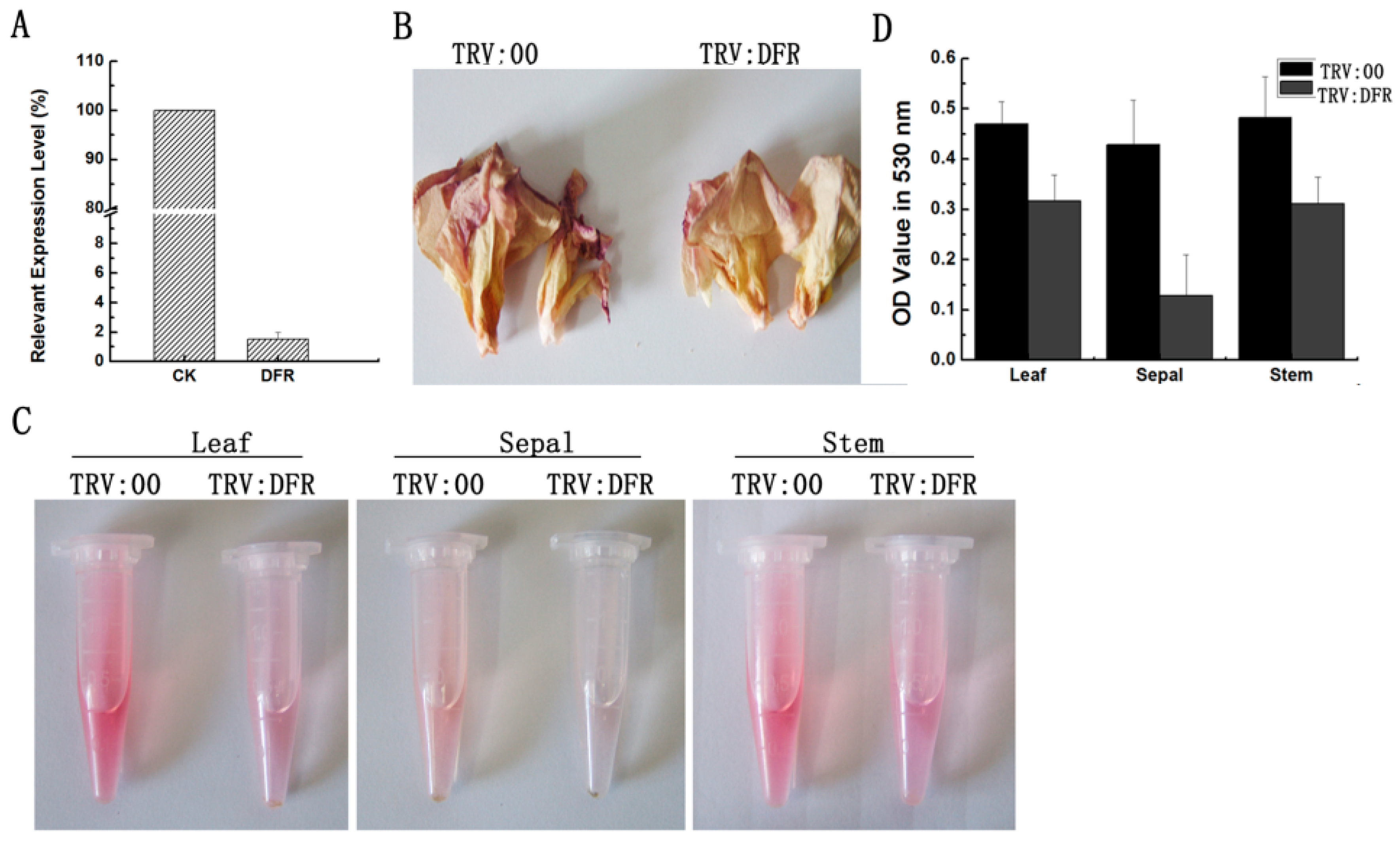 Molecules 21 00032 g004