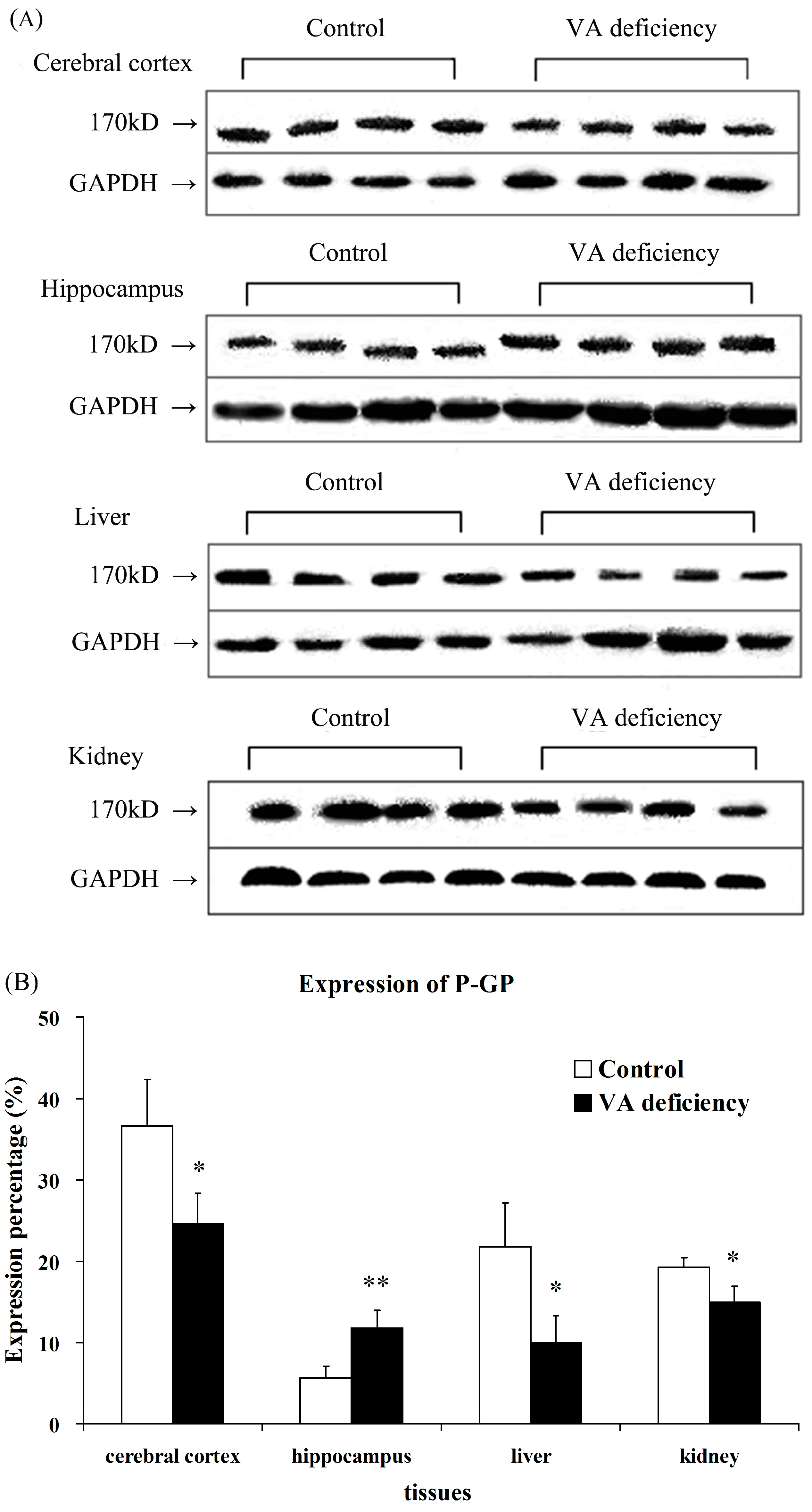 Molecules 21 00046 g002