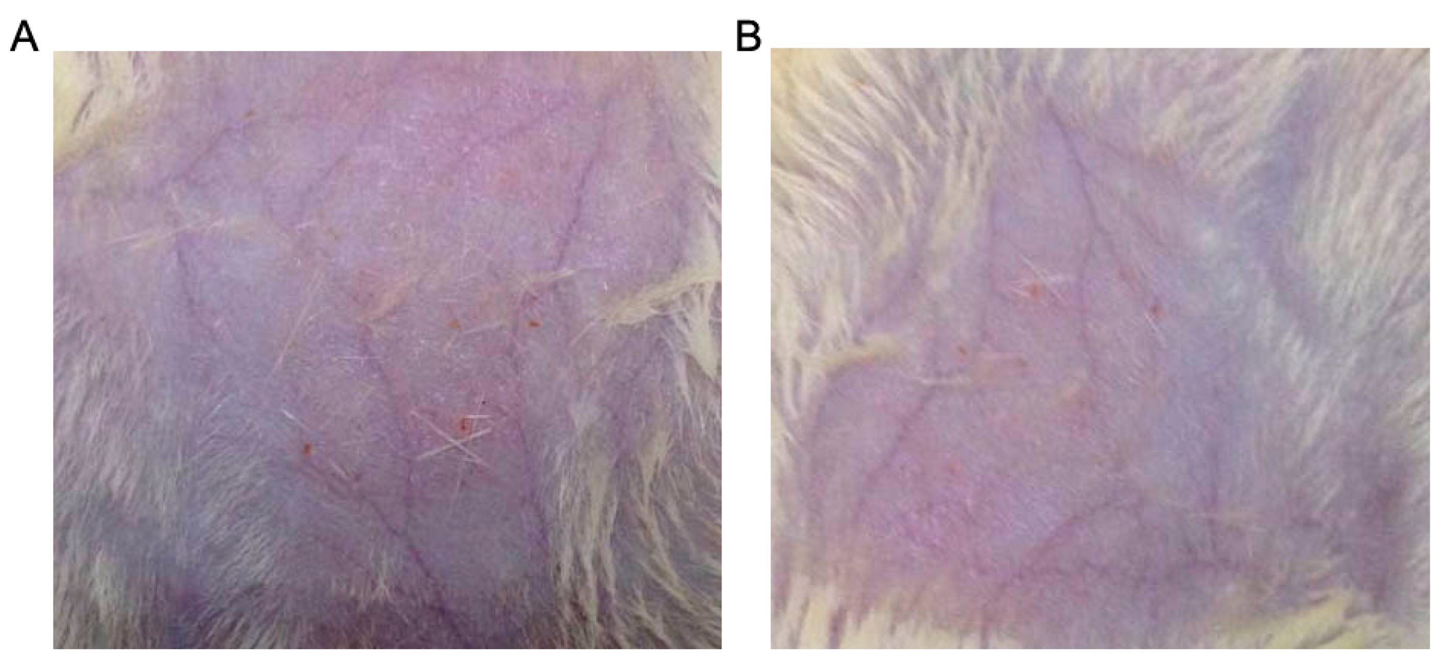 Molecules 21 00057 g007