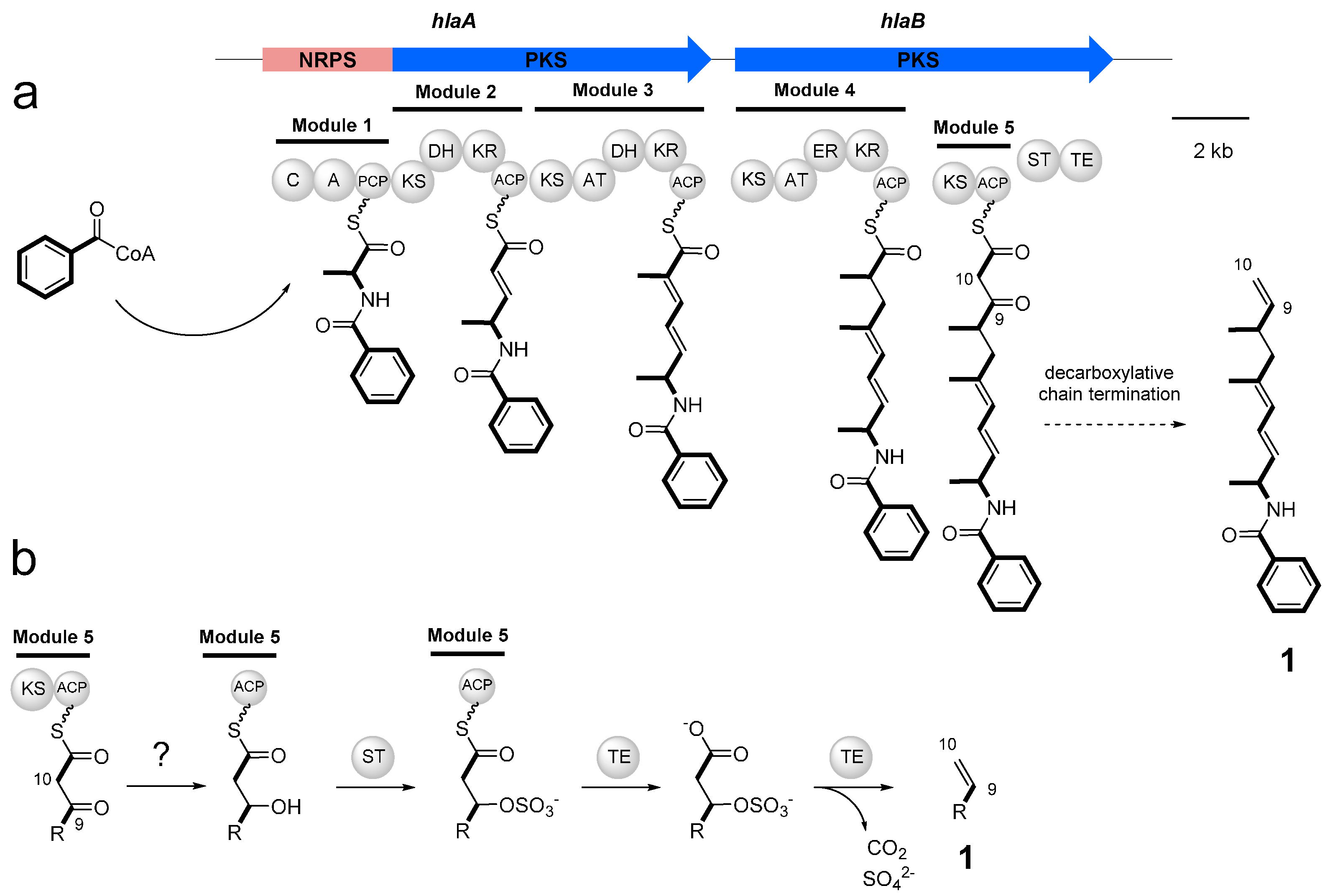 Molecules 21 00059 g004