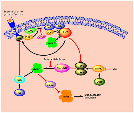 Molecules 21 00071 g001 550