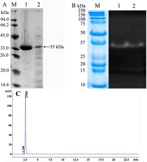 Molecules 21 00073 g007 550