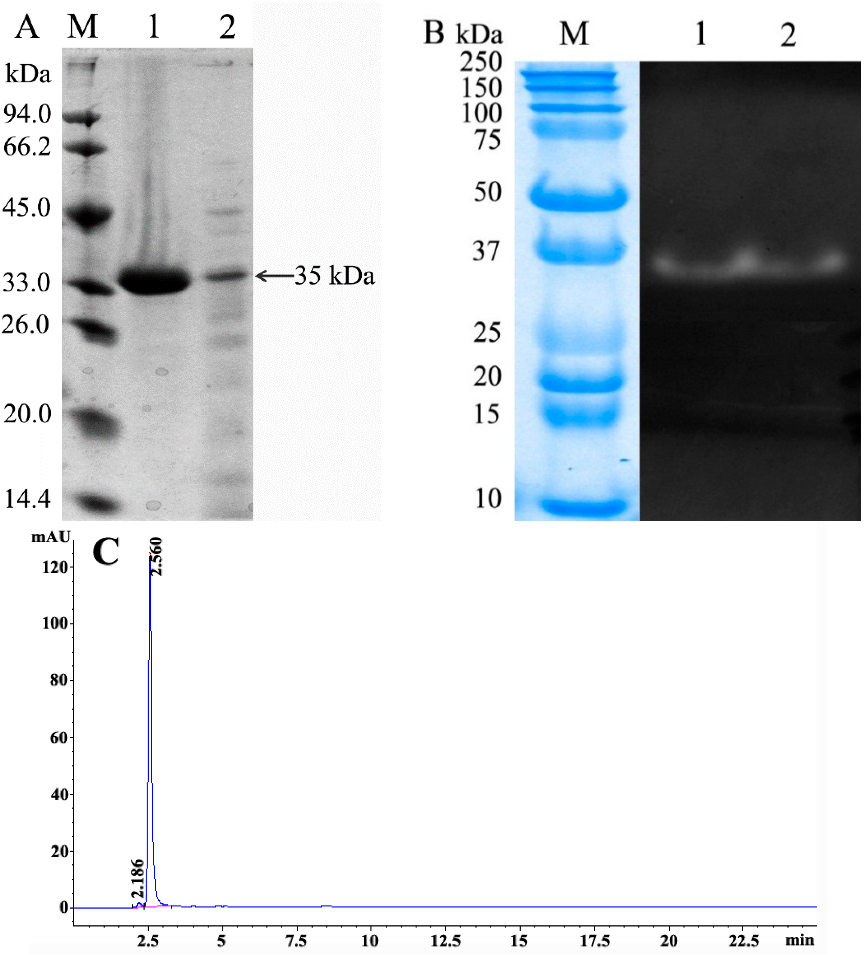 Molecules 21 00073 g007