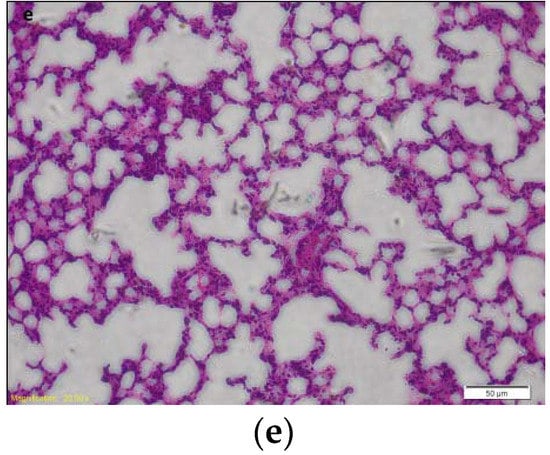 Molecules 21 00077 g002b 550