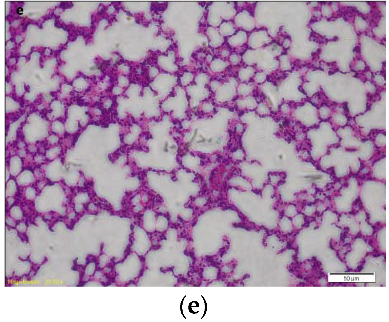 Molecules 21 00077 g002b