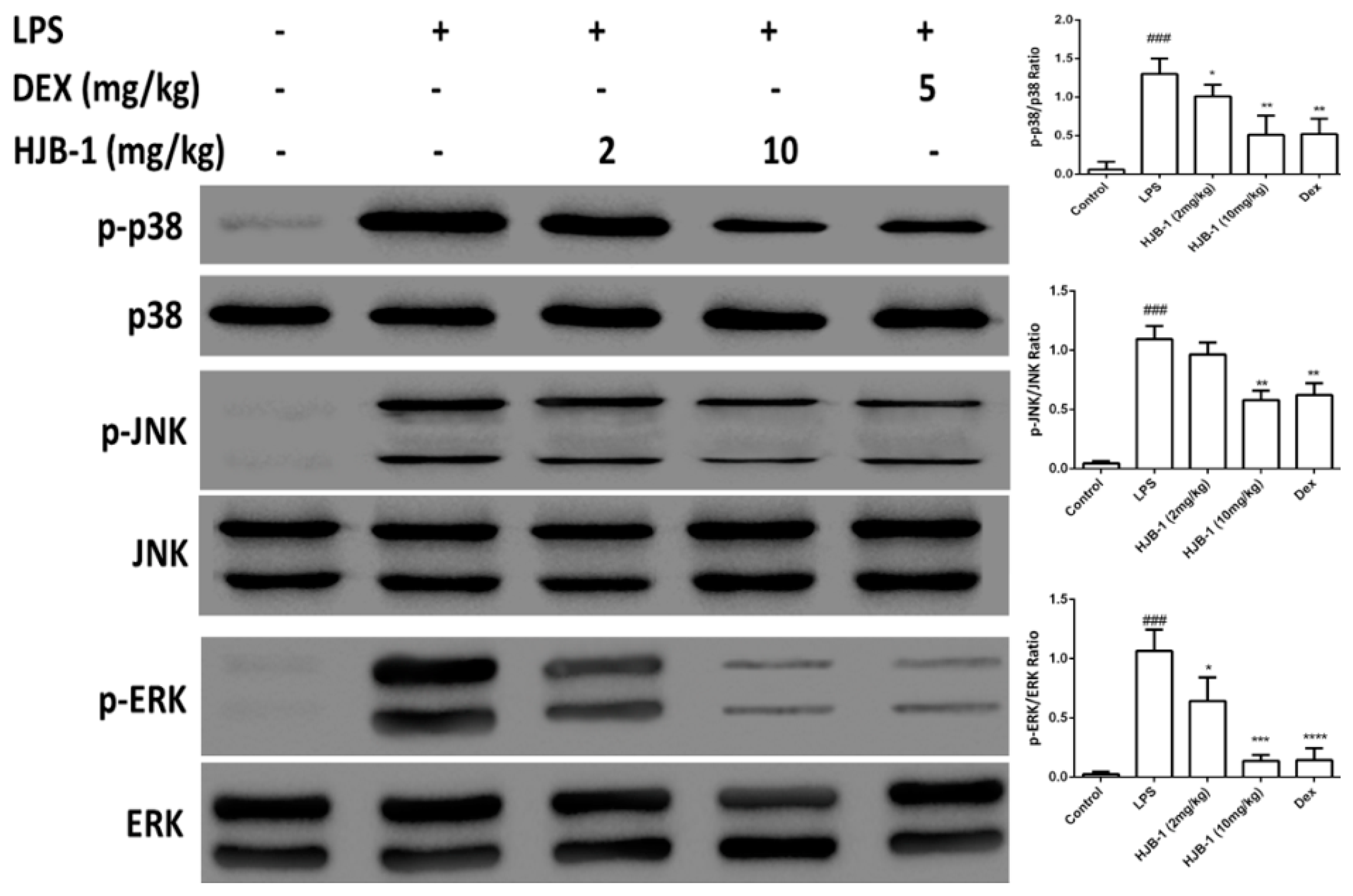 Molecules 21 00077 g008