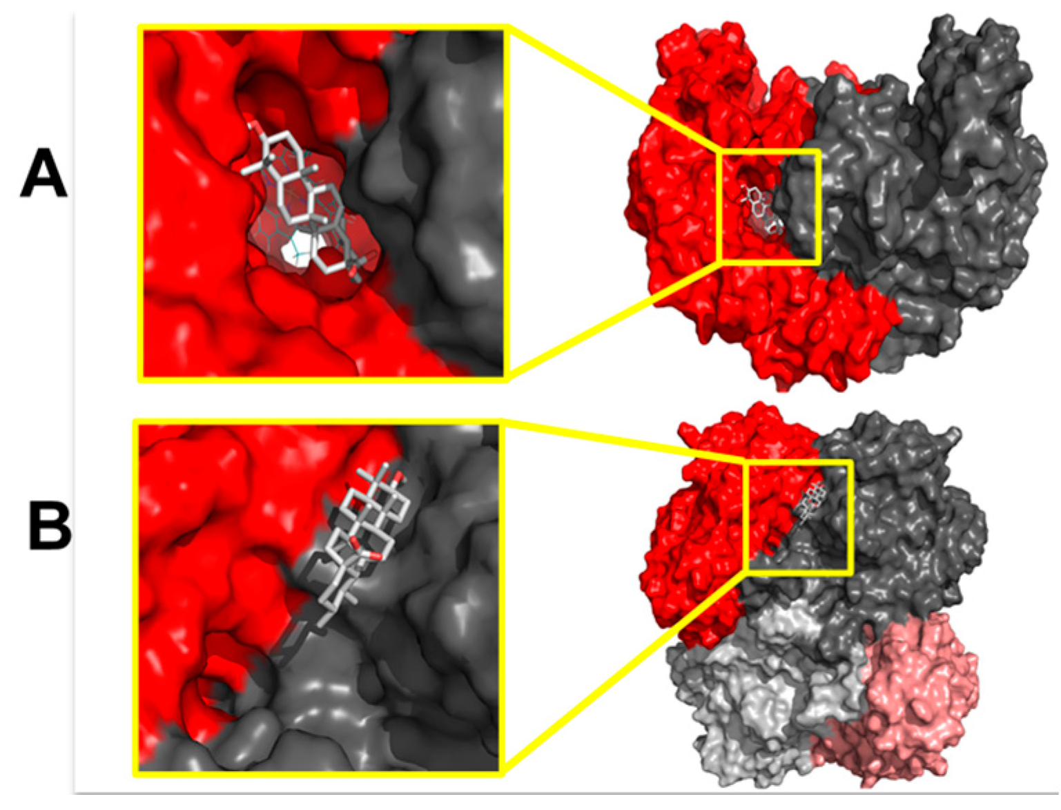 Molecules 21 00078 g008