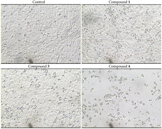 Molecules 21 00082 g004 550