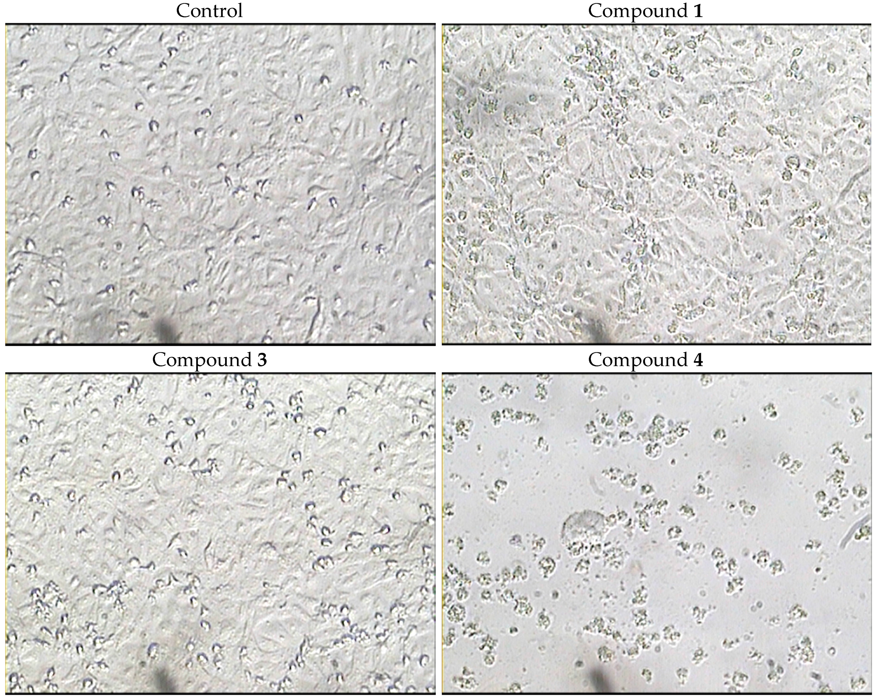 Molecules 21 00082 g004