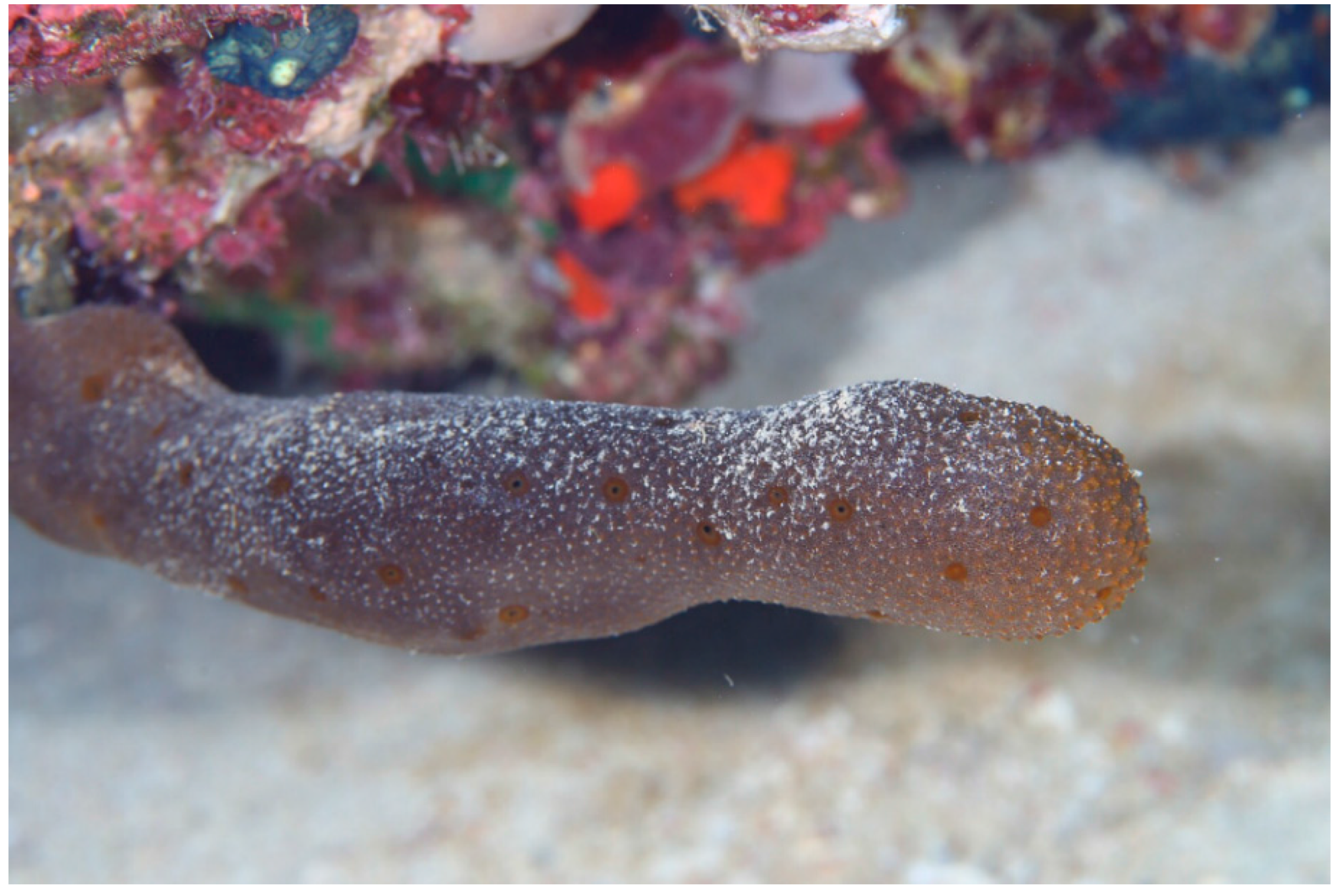 Molecules 21 00082 g006