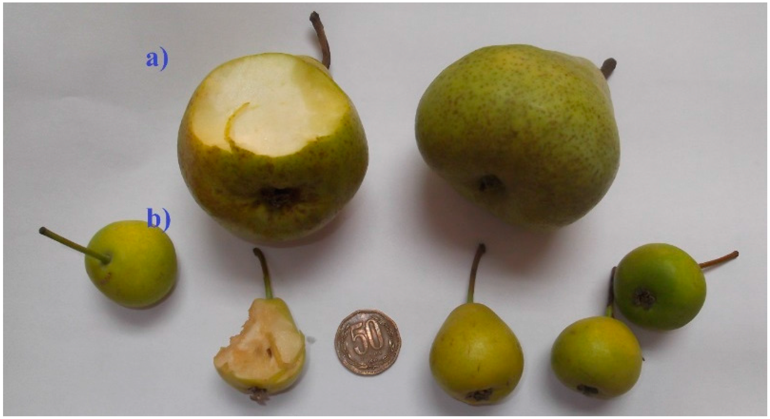 Molecules 21 00092 g001