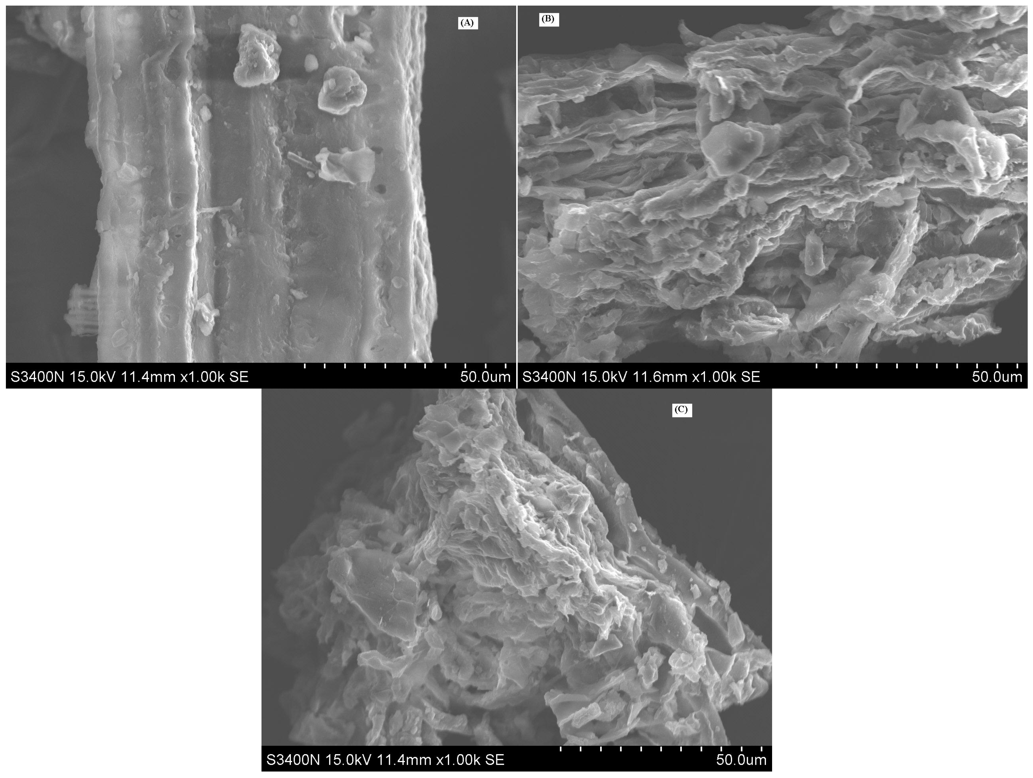 Molecules 21 00097 g003