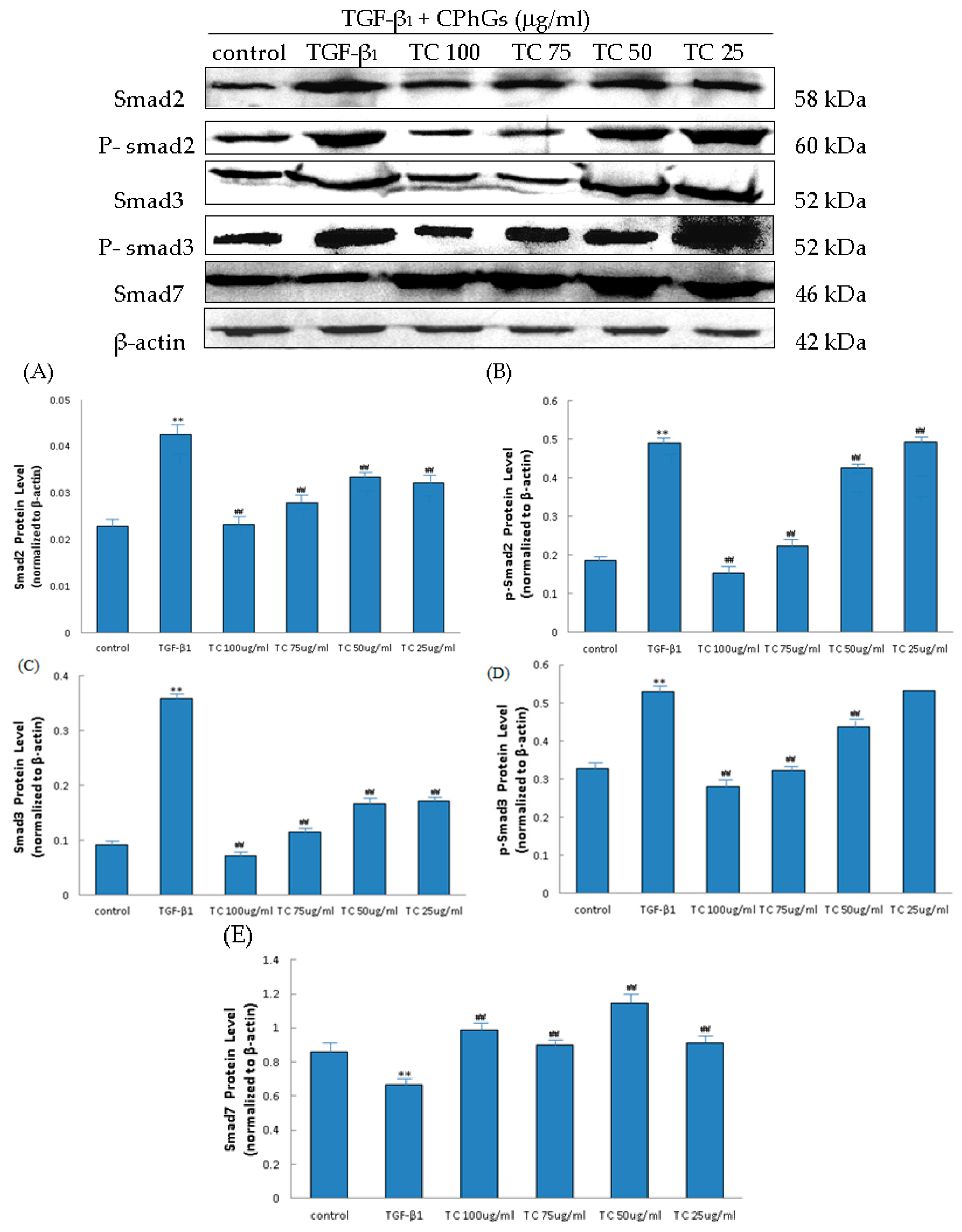 Molecules 21 00102 g006