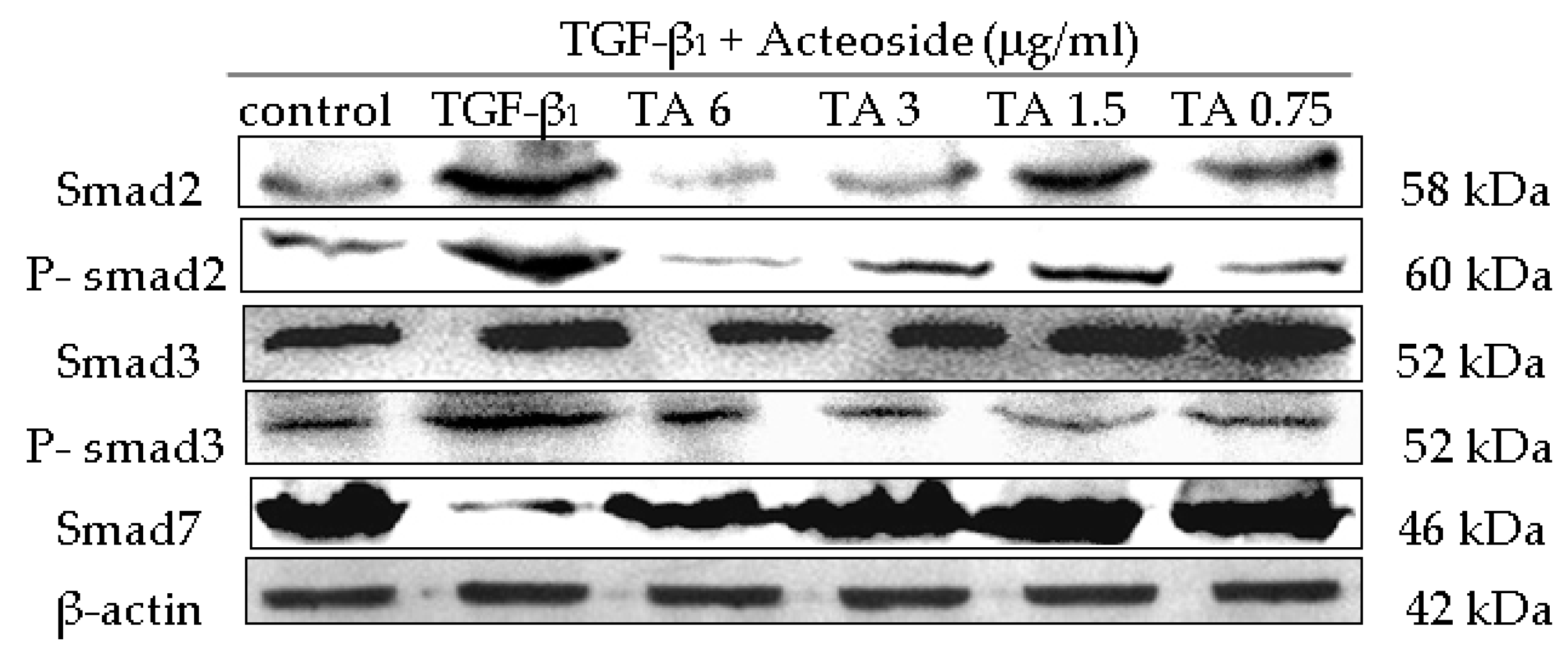 Molecules 21 00102 g008a