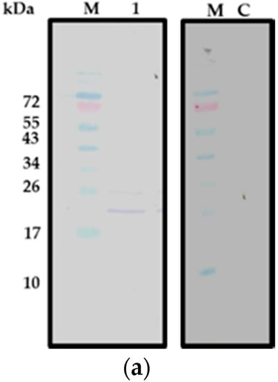 Molecules 21 00103 g001a 550