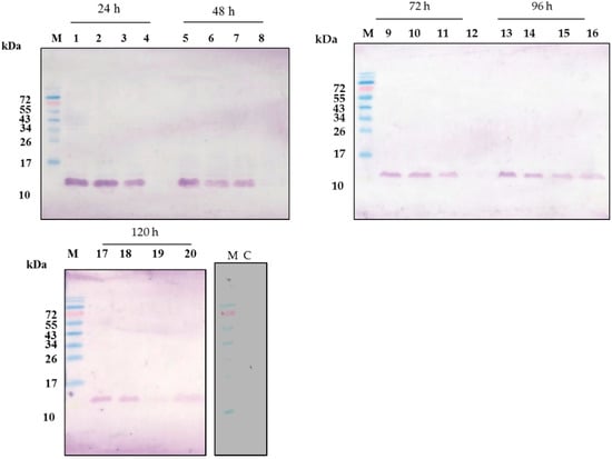 Molecules 21 00103 g002 550