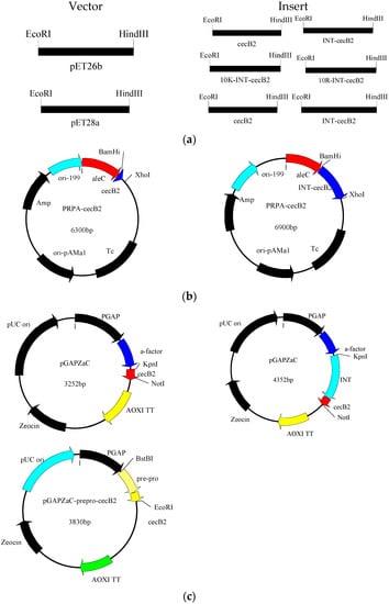 Molecules 21 00103 g004 550