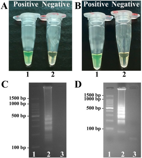 Molecules 21 00111 g001 550
