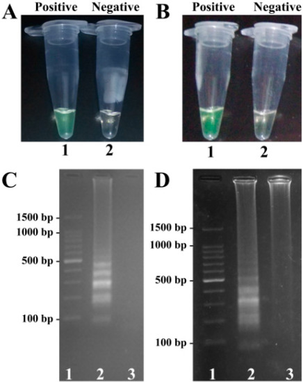 Molecules 21 00111 g003 550