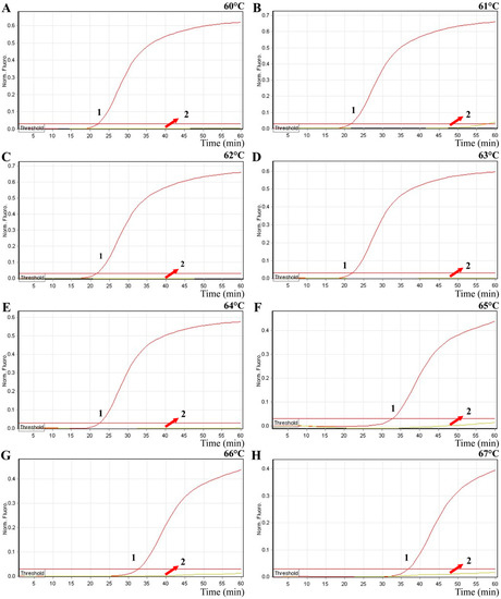 Molecules 21 00111 g004 550