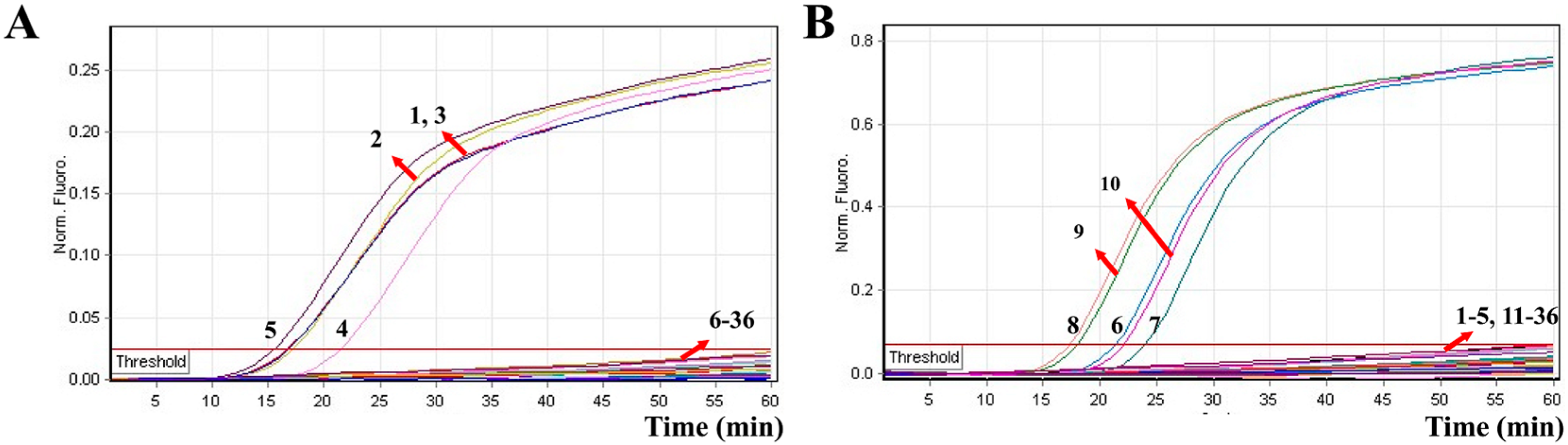 Molecules 21 00111 g007