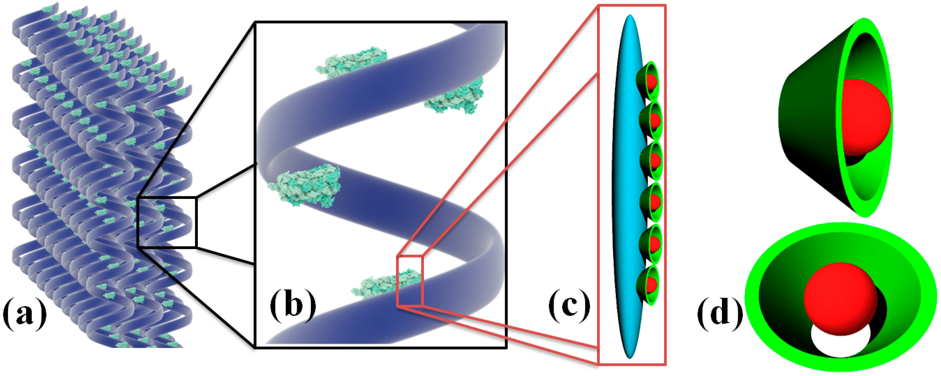Molecules 21 00115 g011