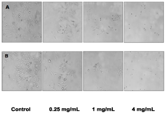 Molecules 21 00119 g003 550