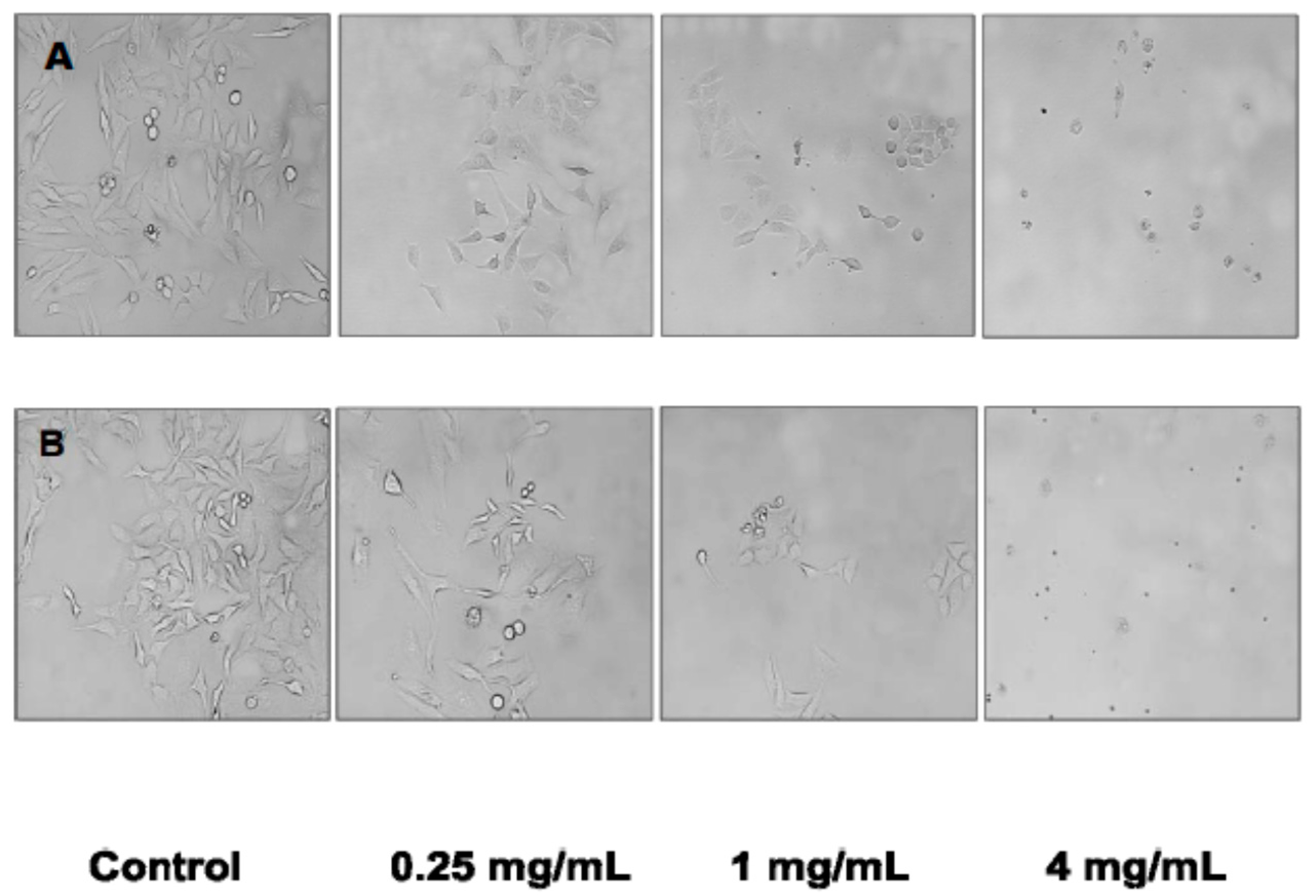 Molecules 21 00119 g003