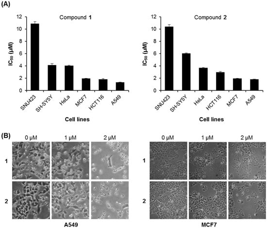 Molecules 21 00120 g004 550