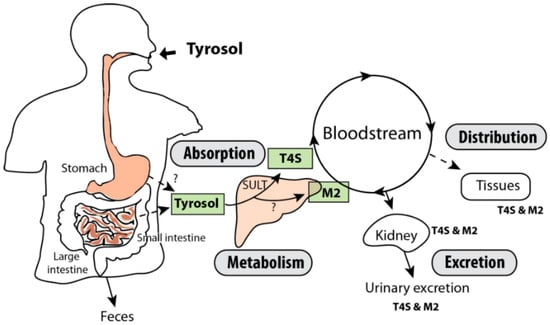 Molecules 21 00128 g006 550