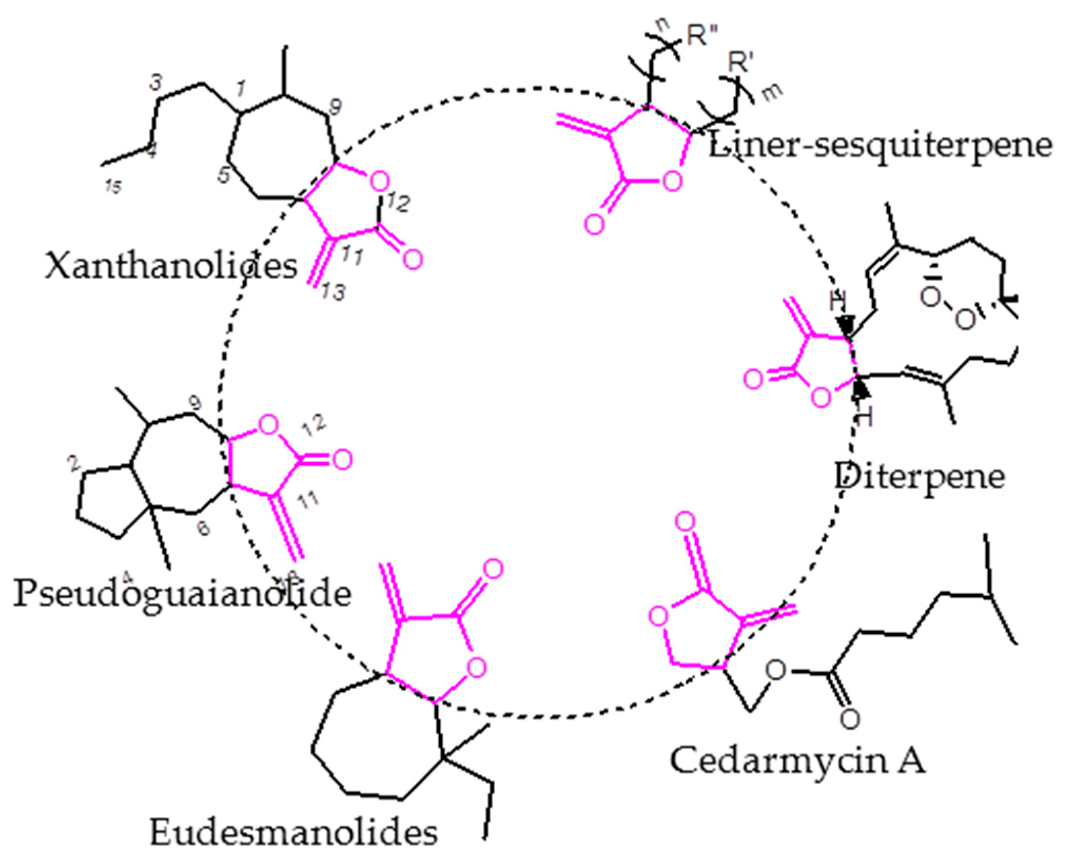 Molecules 21 00130 g001