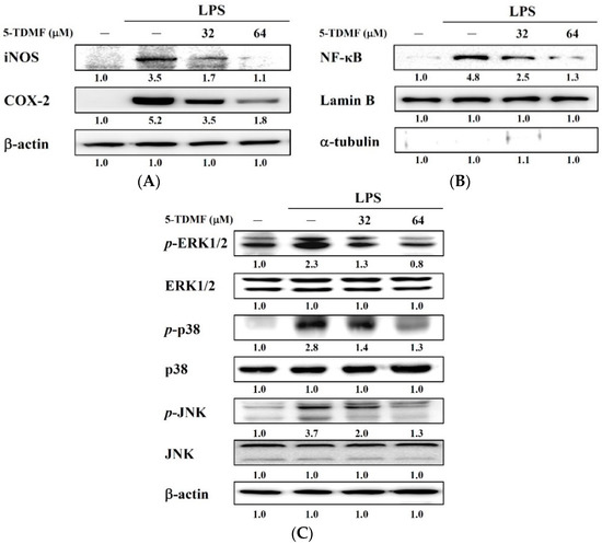 Molecules 21 00136 g006 550