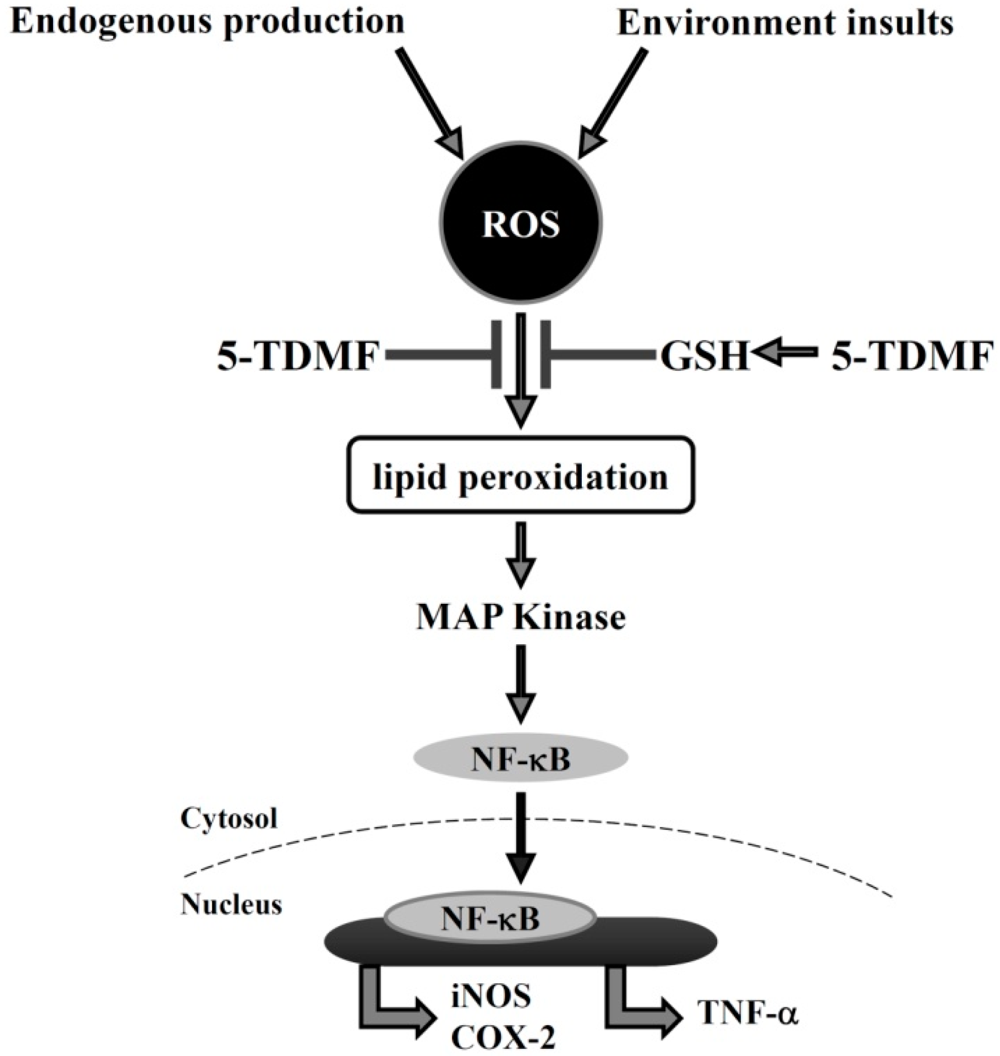 Molecules 21 00136 g007