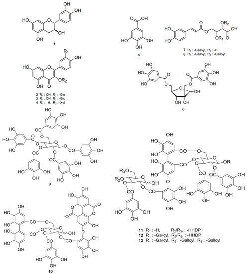 Molecules 21 00137 g001 550