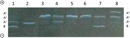Molecules 21 00141 g004 550