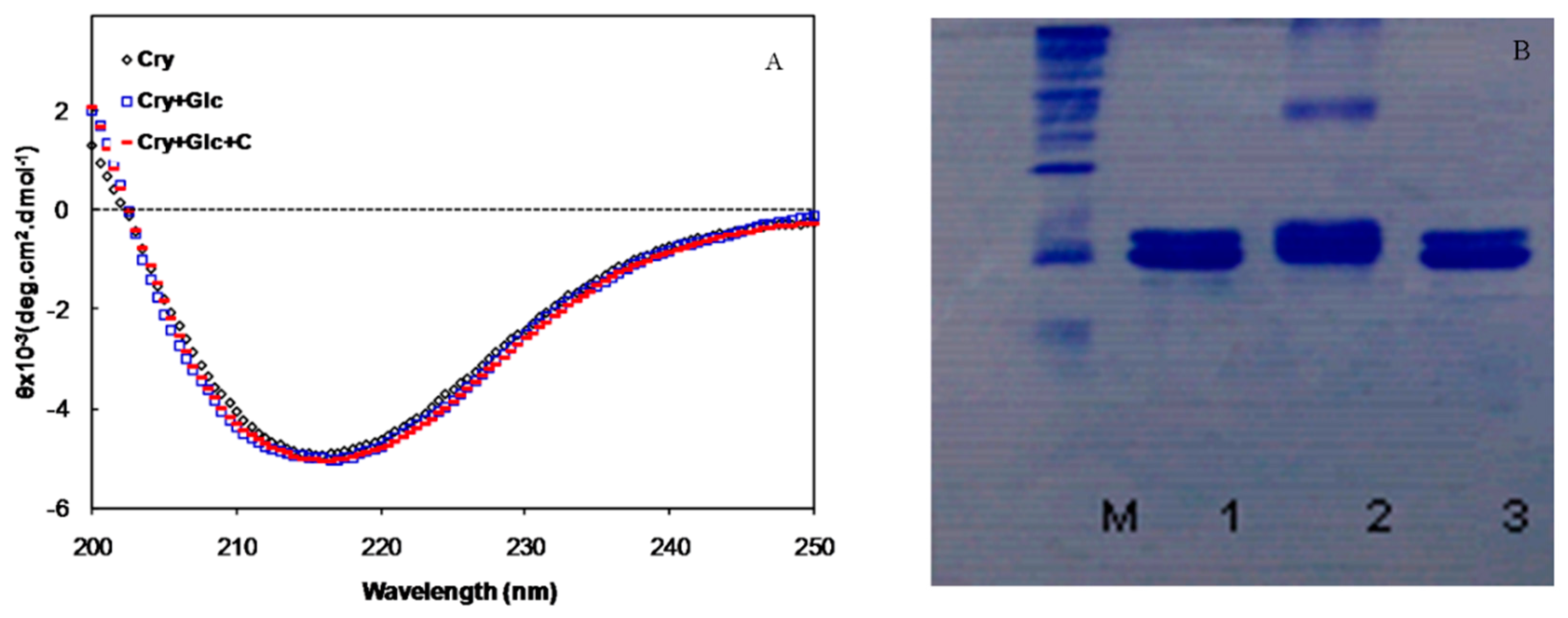 Molecules 21 00143 g003