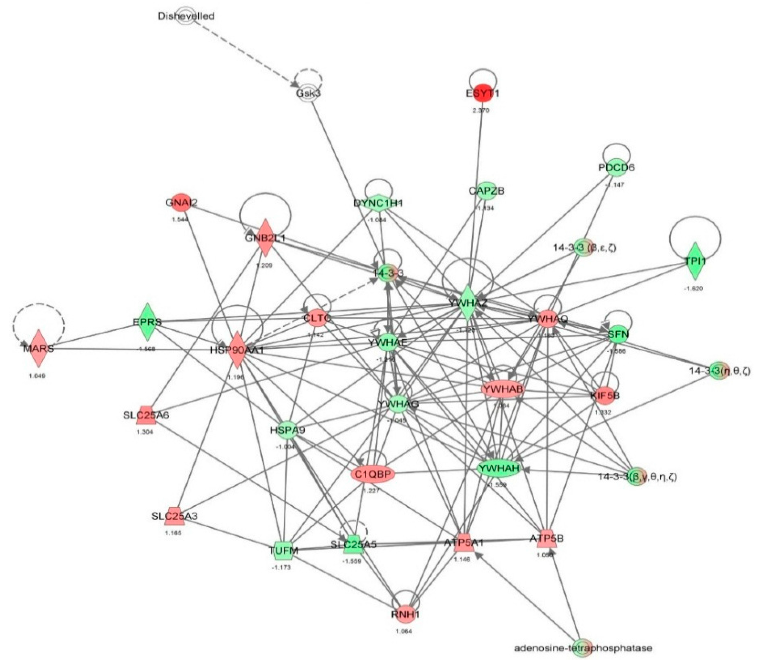 Molecules 21 00148 g004