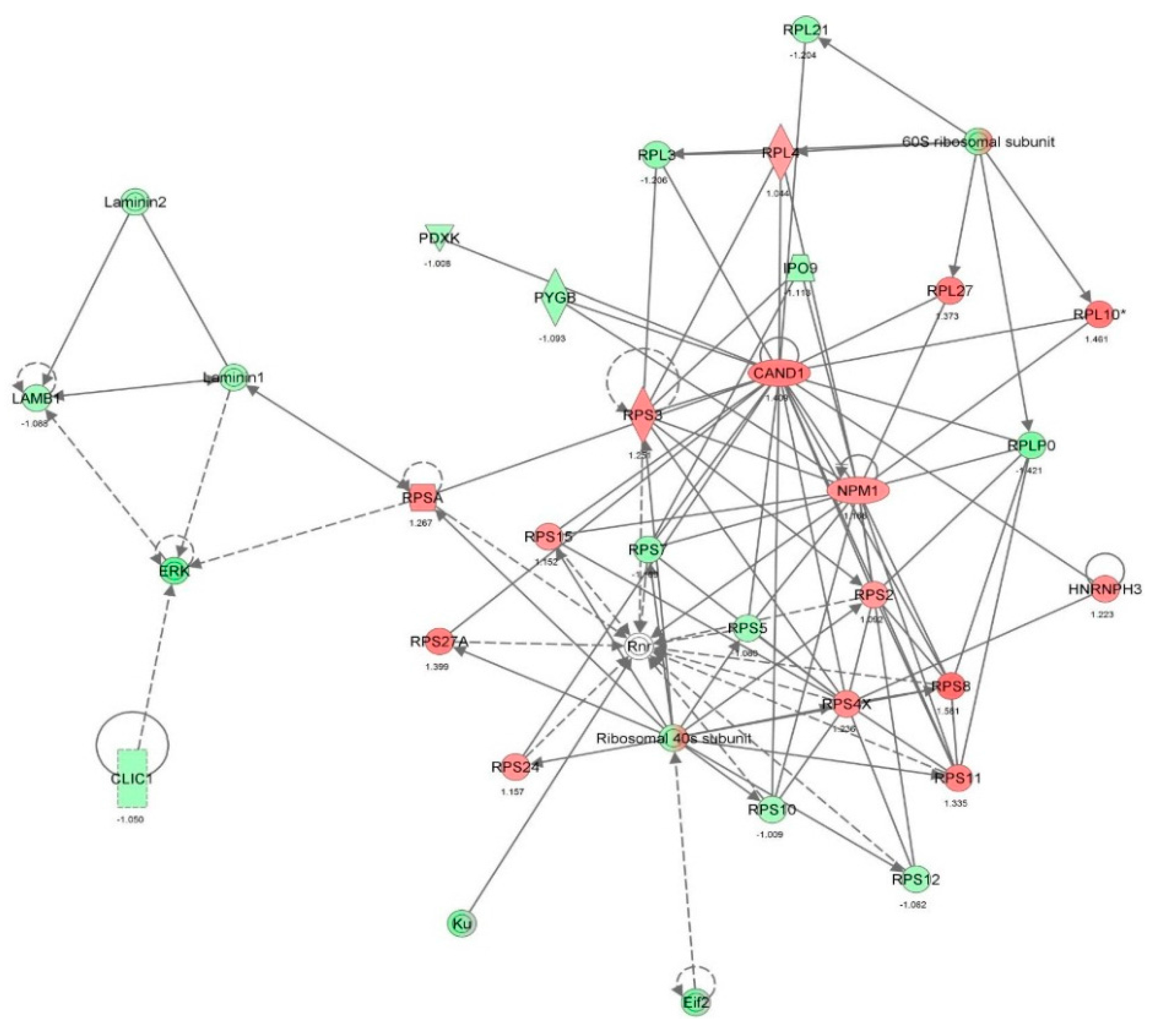 Molecules 21 00148 g005