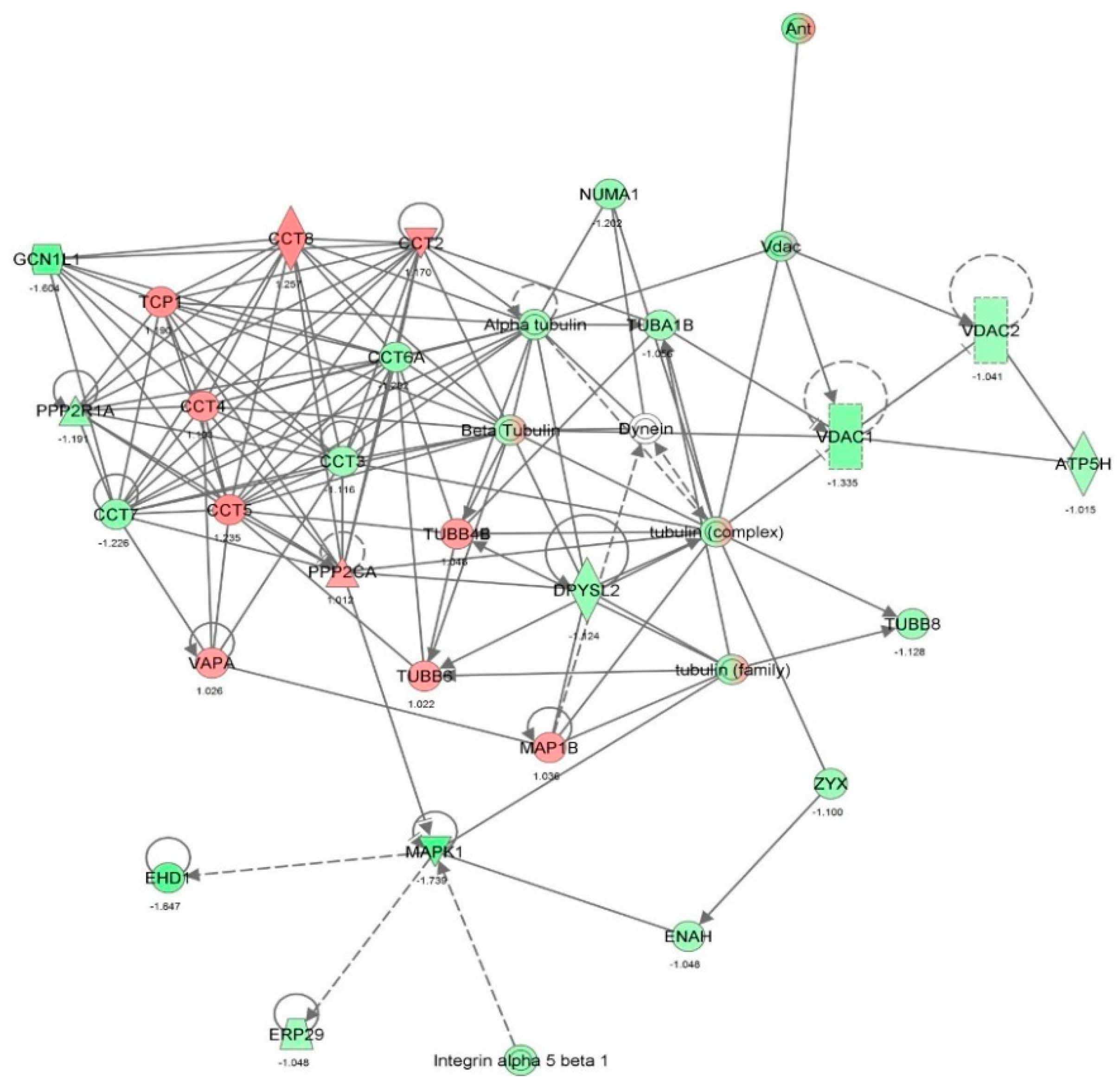 Molecules 21 00148 g006
